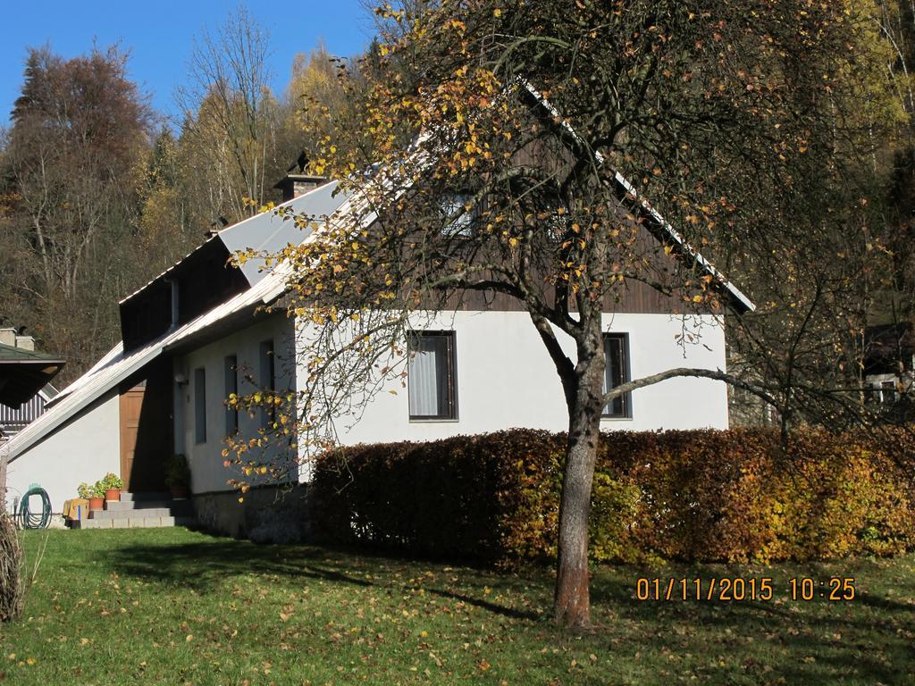 Guest House U Lakomce Desna  Exterior photo
