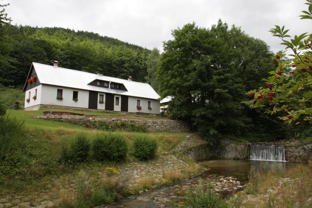 Guest House U Lakomce Desna  Exterior photo